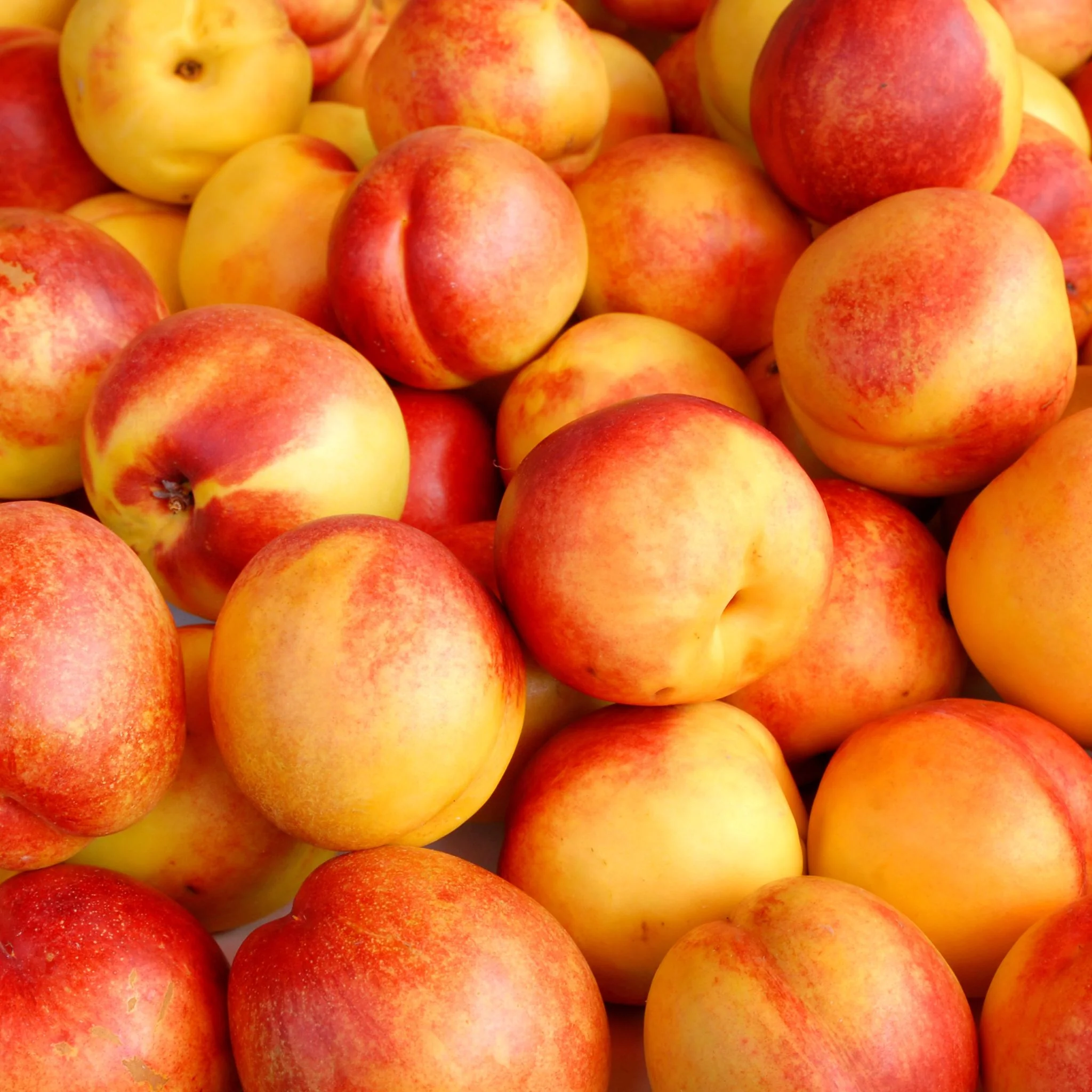 đ Nectarines jaunes Royal - 1kg