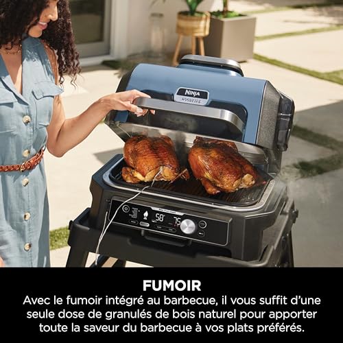 Ninja Woodfire Pro Connect XL Barbecue Électrique & Fumoir avec Contrôle d'Application, 2 Sondes, Grille, Housse, Revêtements & Brosse, Grill & Friteuse sans huile 7-en-1, Bleu & Noir OG901EUAMZ - Image 34