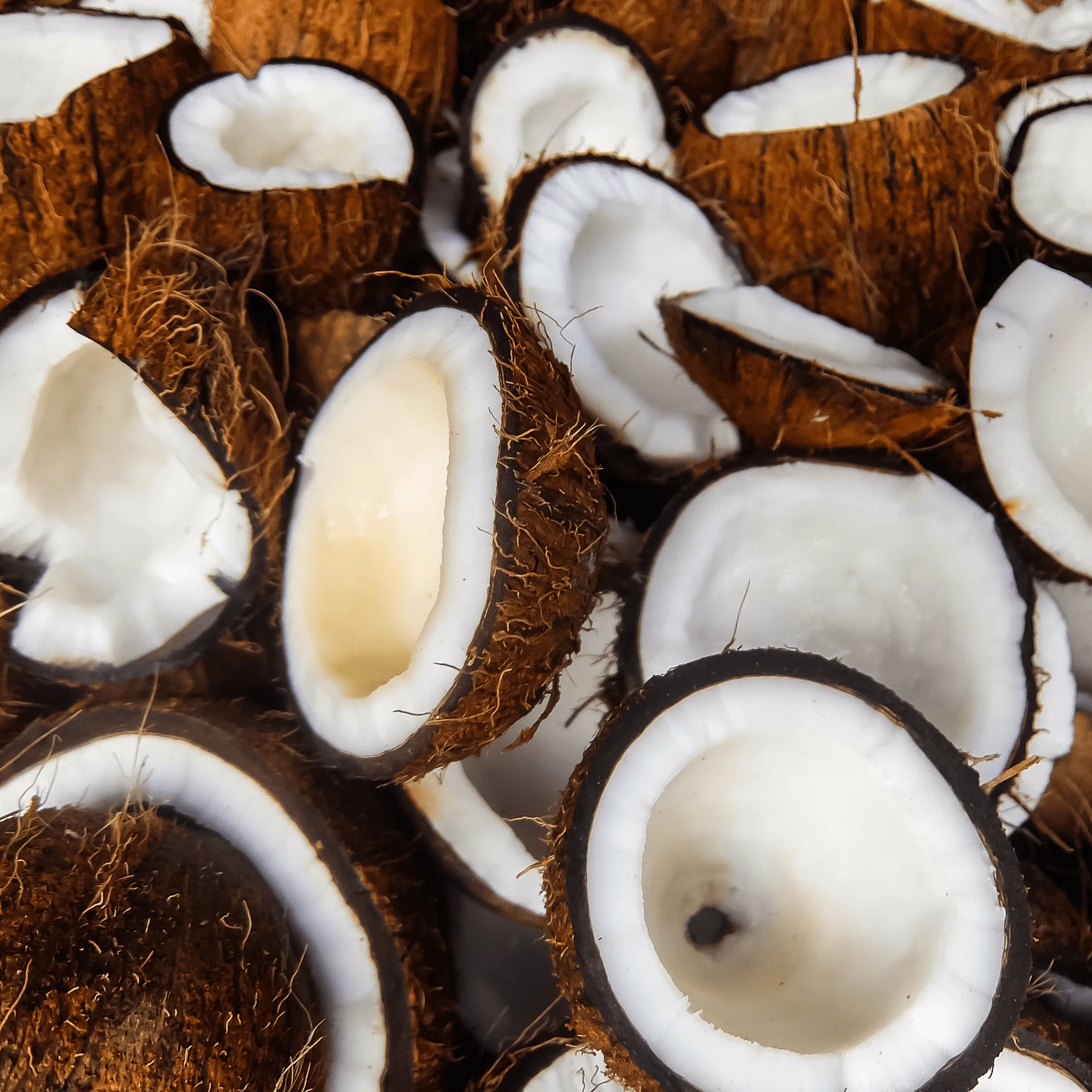 🥥 Noix de Coco – 1 Pièce