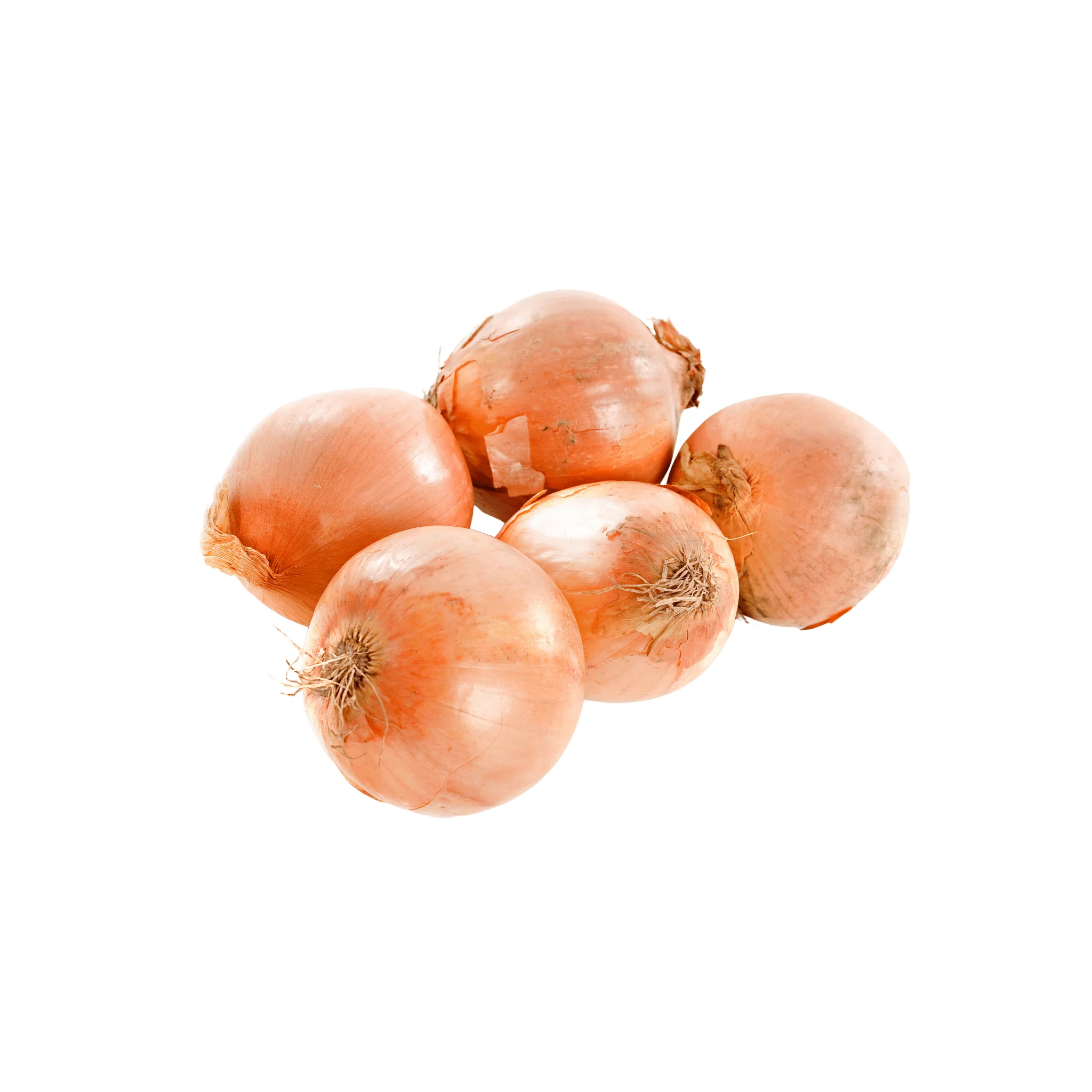 Oignons jaune BIO - botte