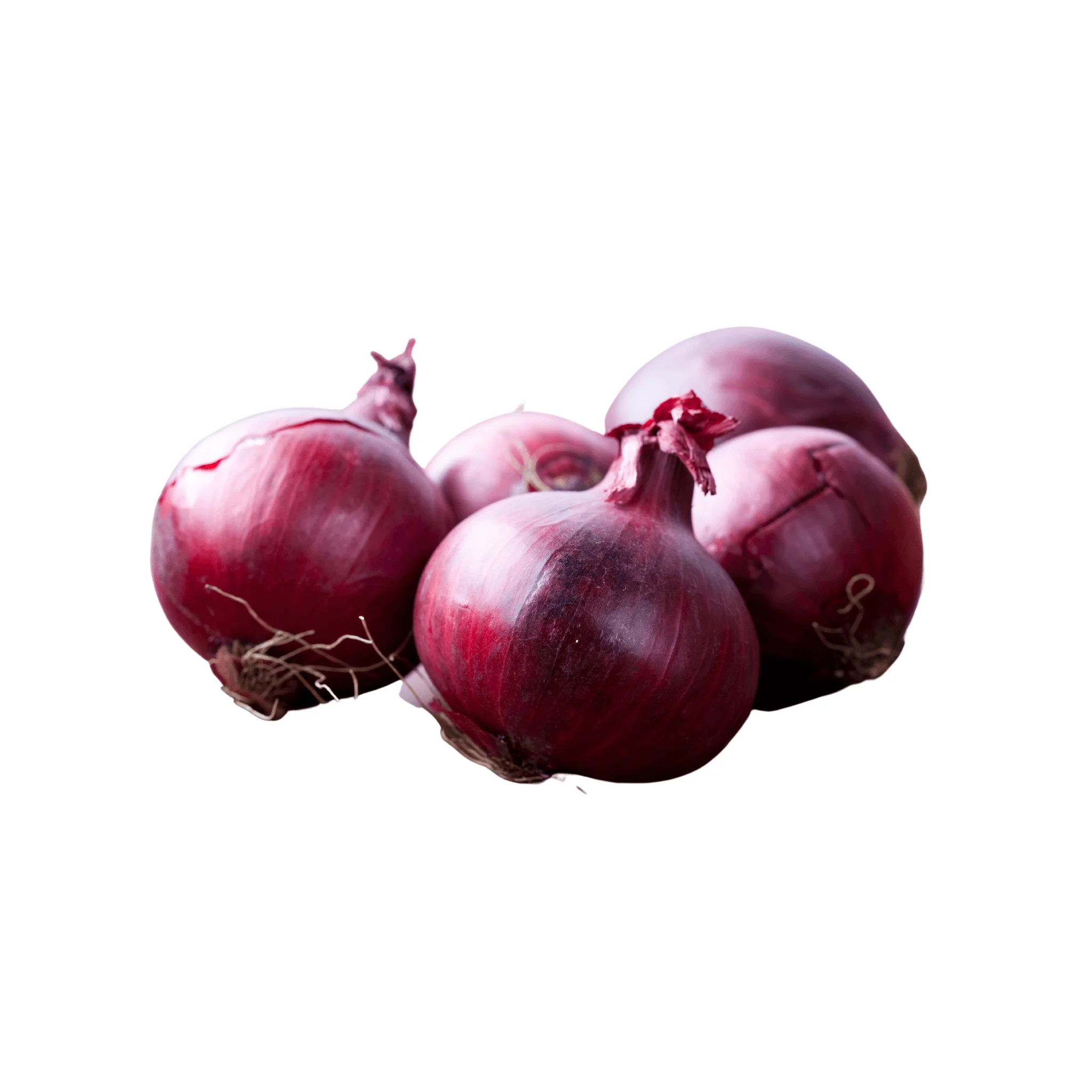 Oignons rouge BIO - botte