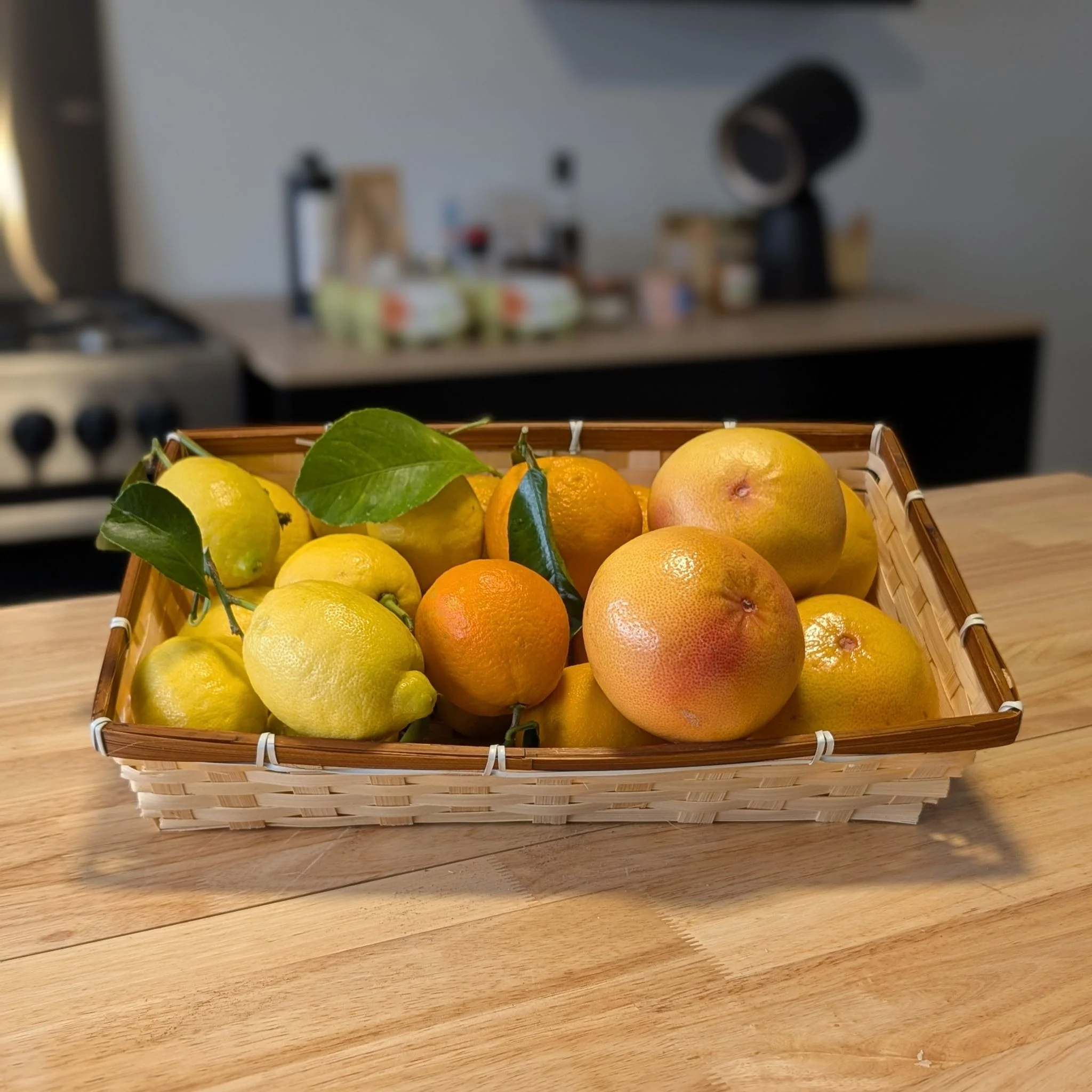 đ Panier Agrumes de Corse (3kg) : Oranges, Citrons & Pomelos