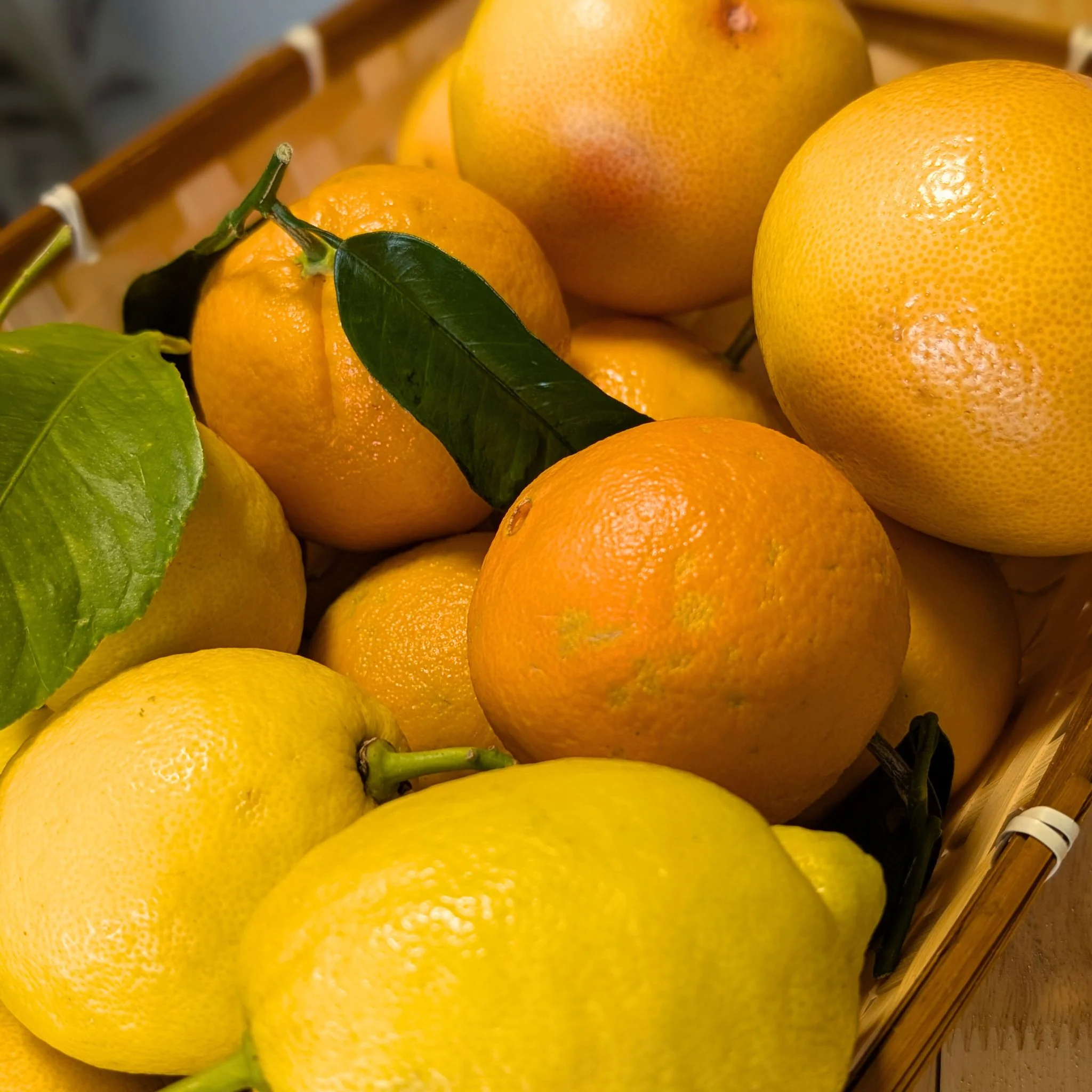 đ Panier Agrumes de Corse (3kg) : Oranges, Citrons & Pomelos - Image 2