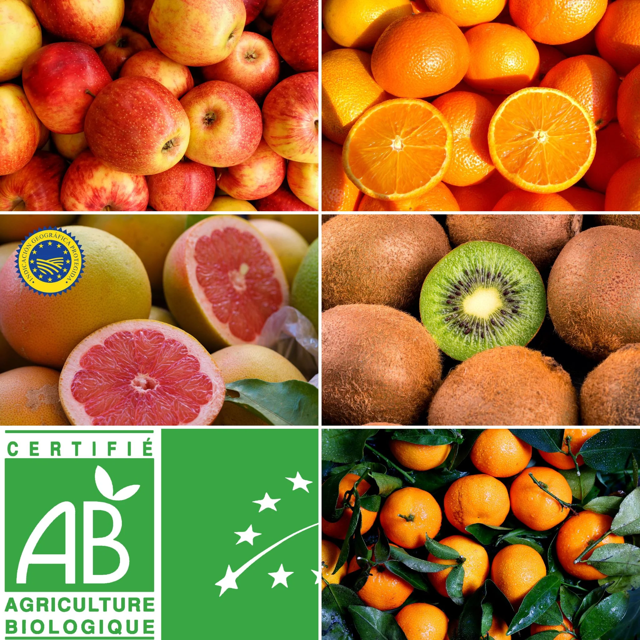 🍎 Panier de Fruits BIO