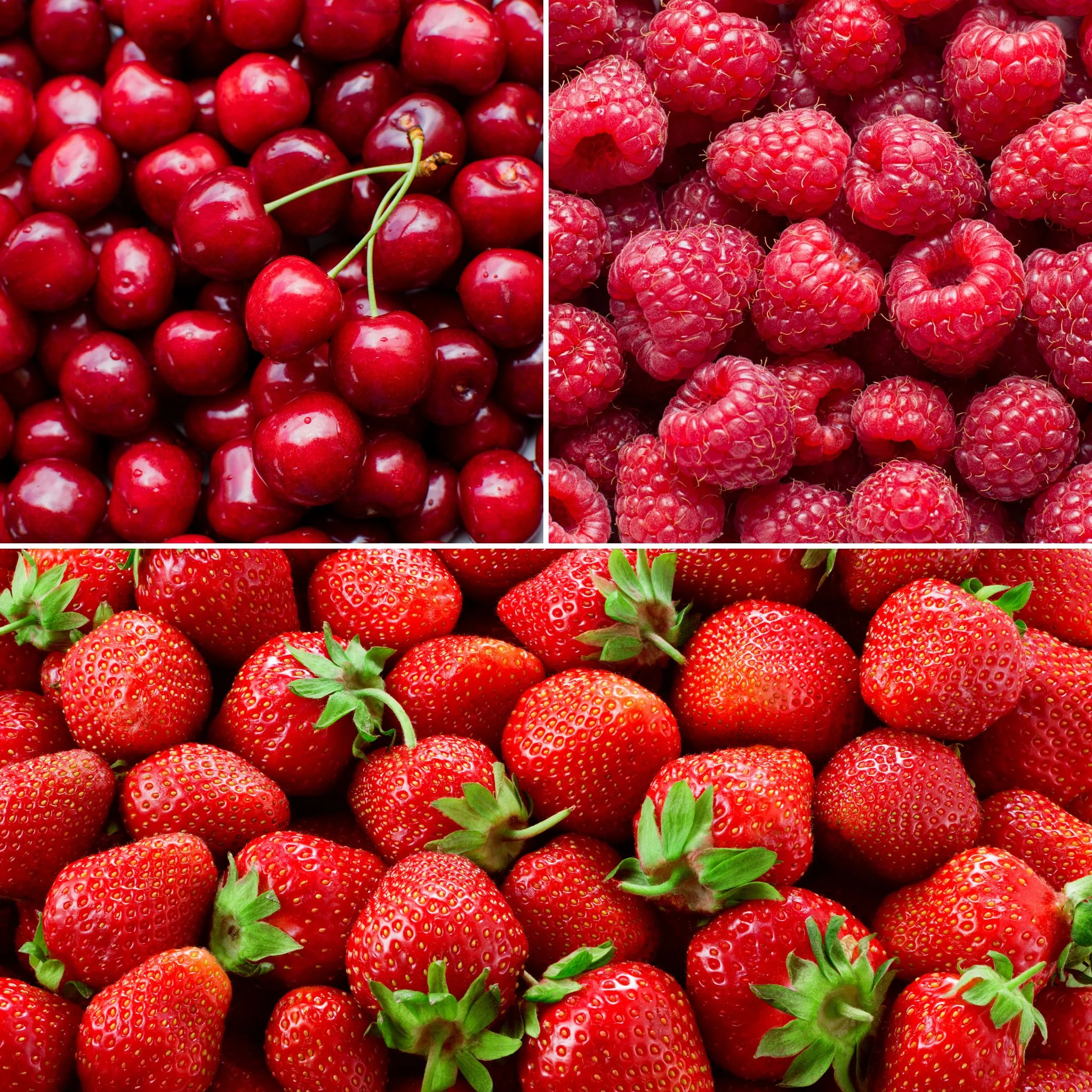 🍓 Panier de Fruits Rouges