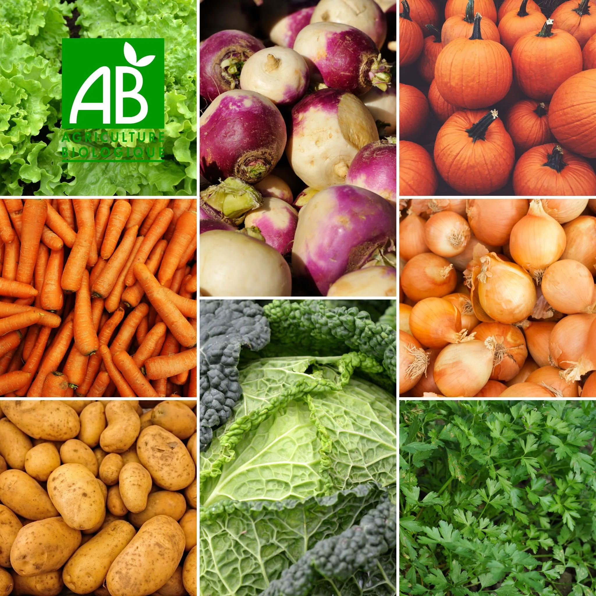 🥬 Panier de Légumes BIO – Ferme des Terres Noires - Image 6