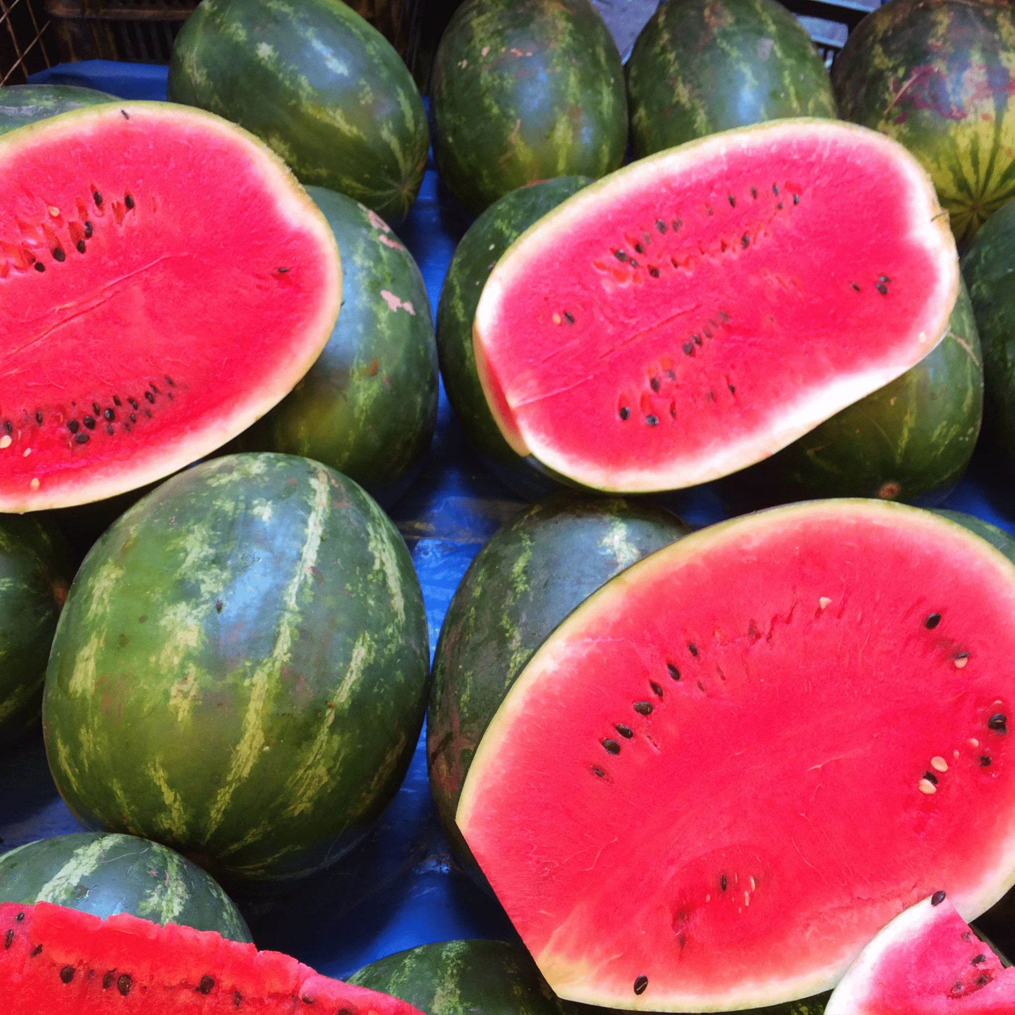 🍉 Pastèque Sans Pépin – Petit Calibre