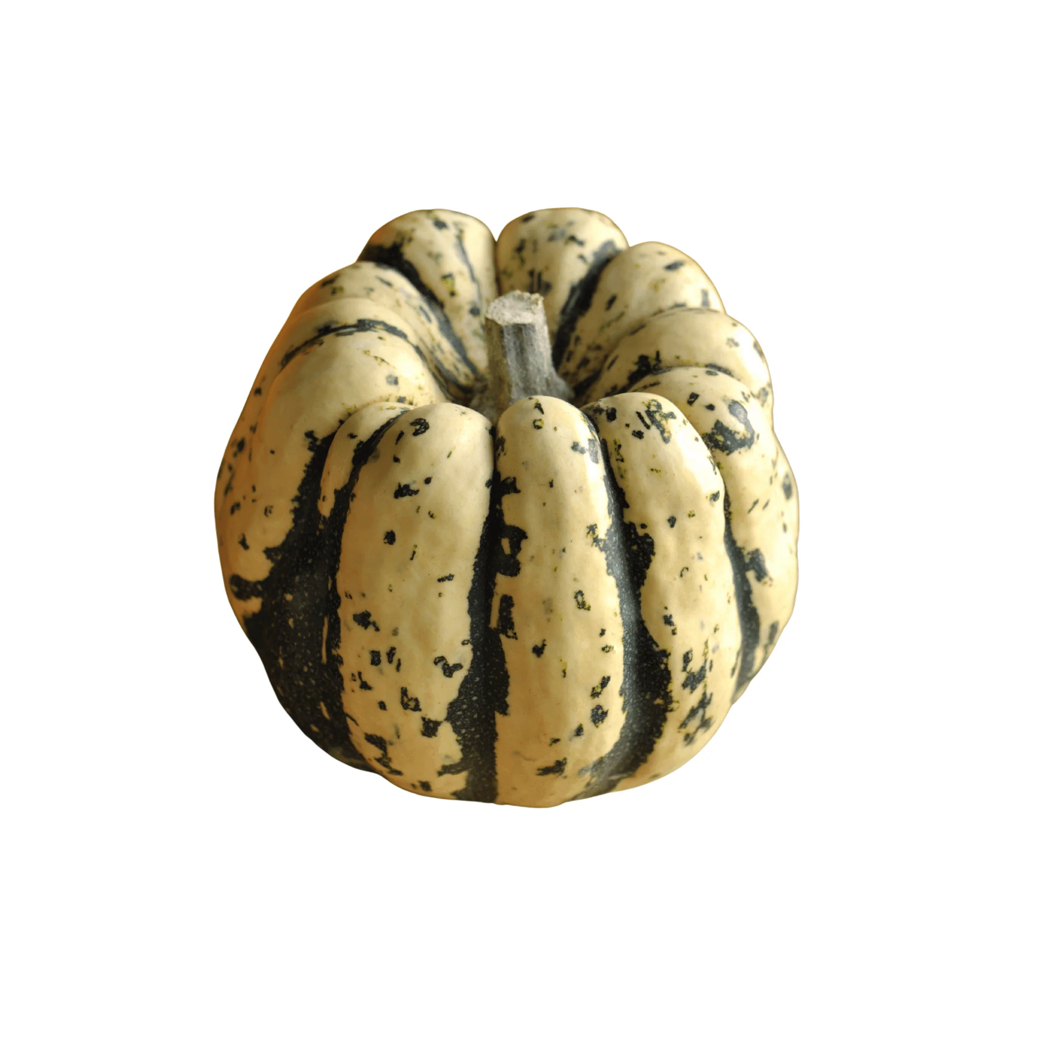Patidou BIO - 1kg