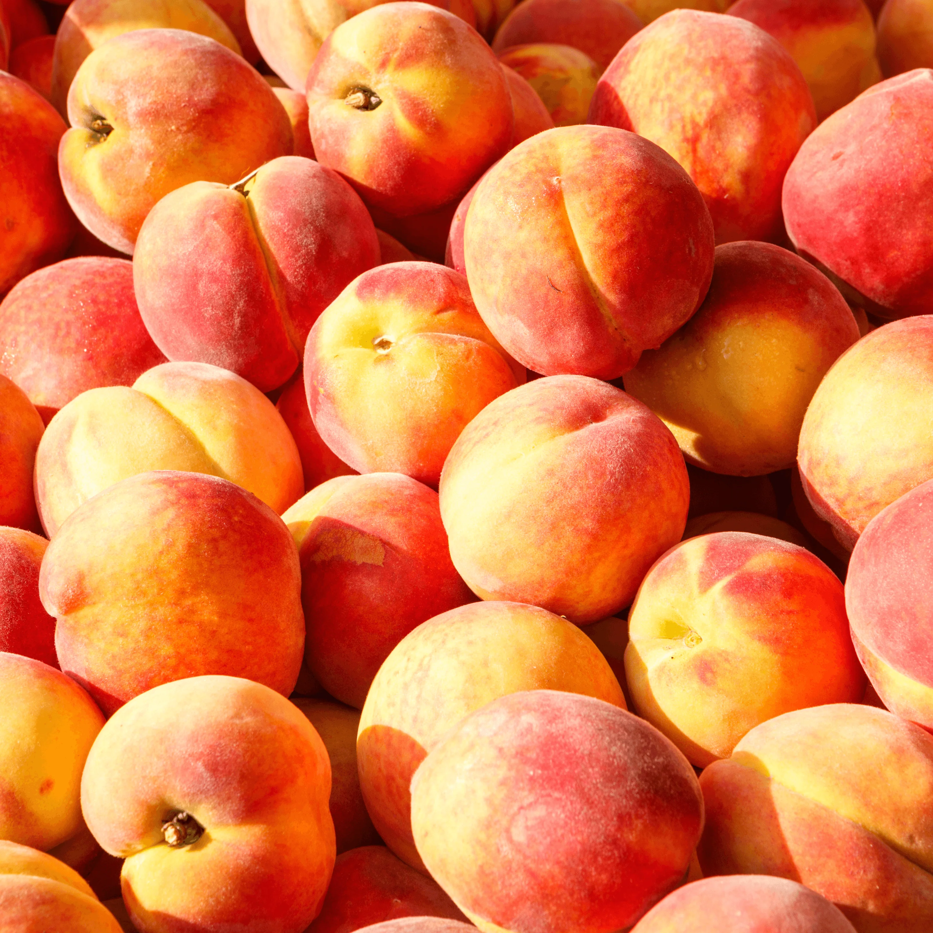 đ PĂȘches Jaunes Royal â 1kg