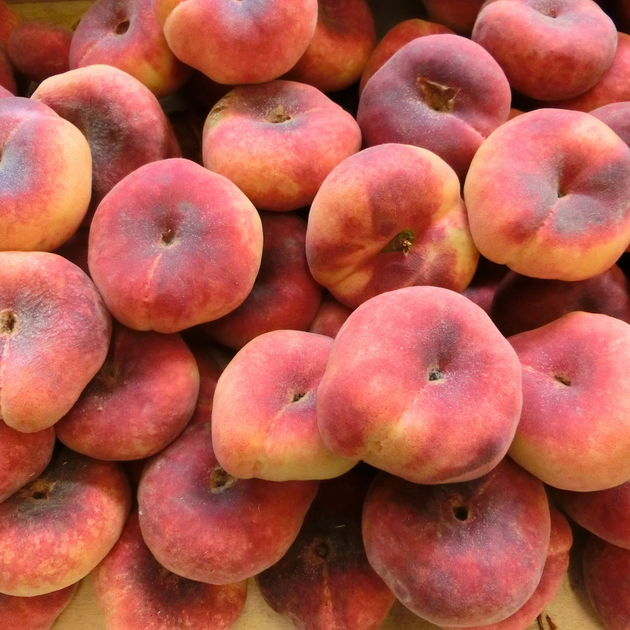 đ PĂȘche Plate Blanche â 1 kg