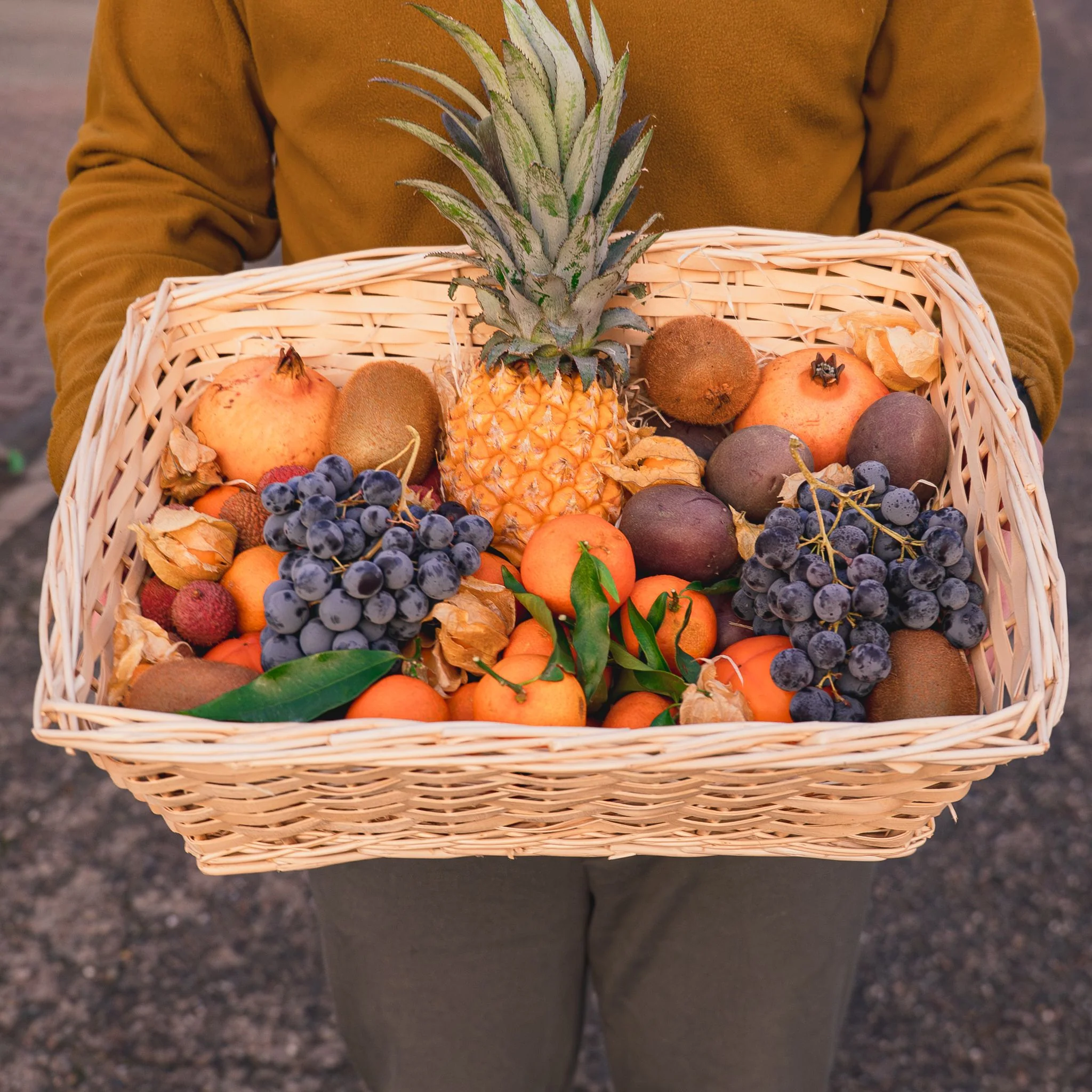 🎄 Plateau de Fruits de Noël "L'Exotique" - Image 4