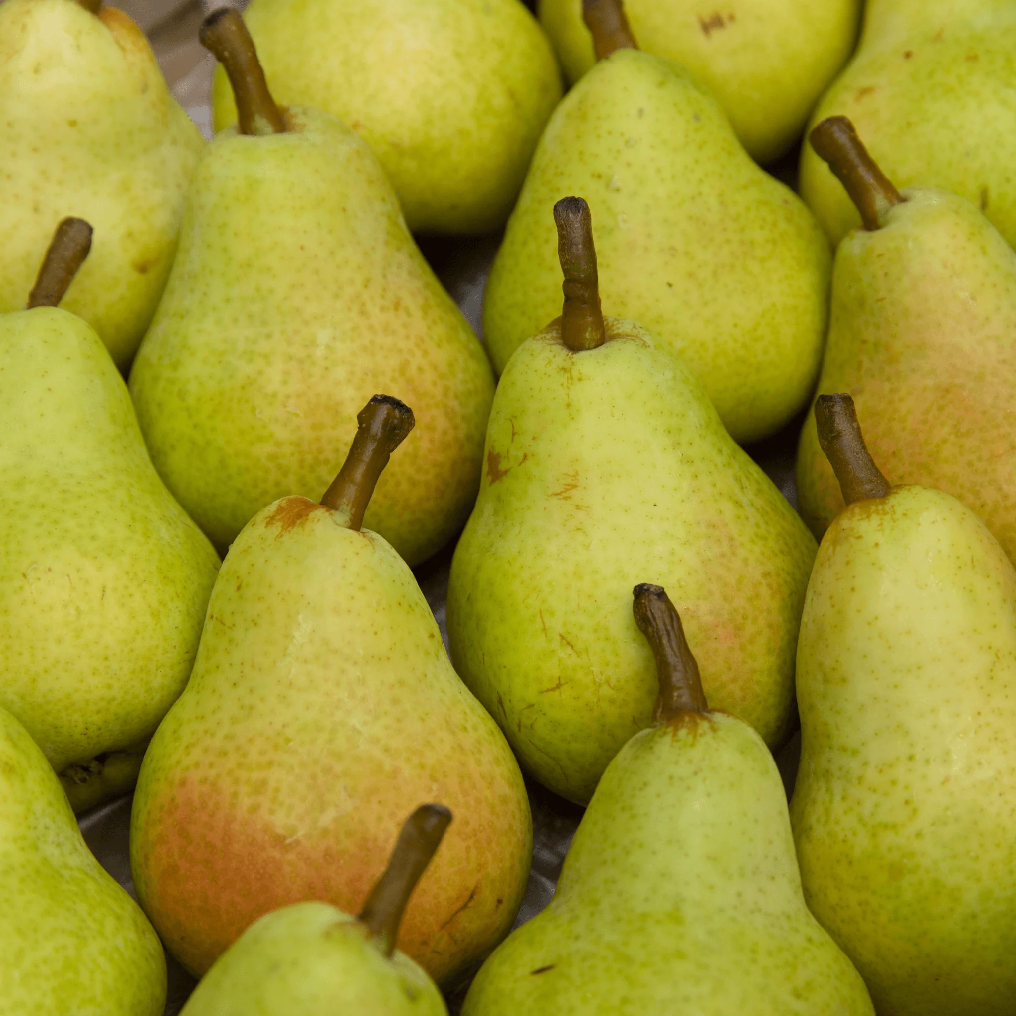 🍐 Poires Guyot – 500g