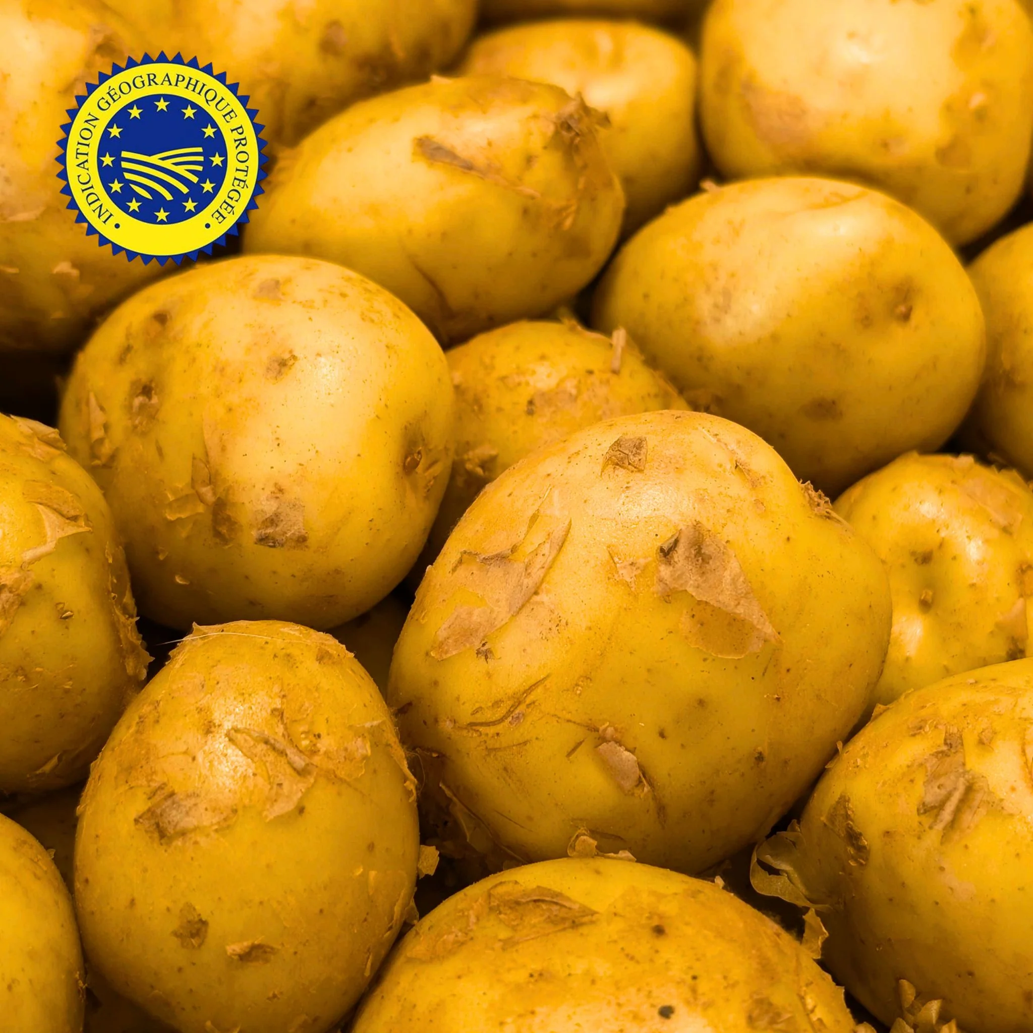 🥔 Pommes de Terre de Noirmoutier IGP - Primeurs Sirtema | Neary - Image 2