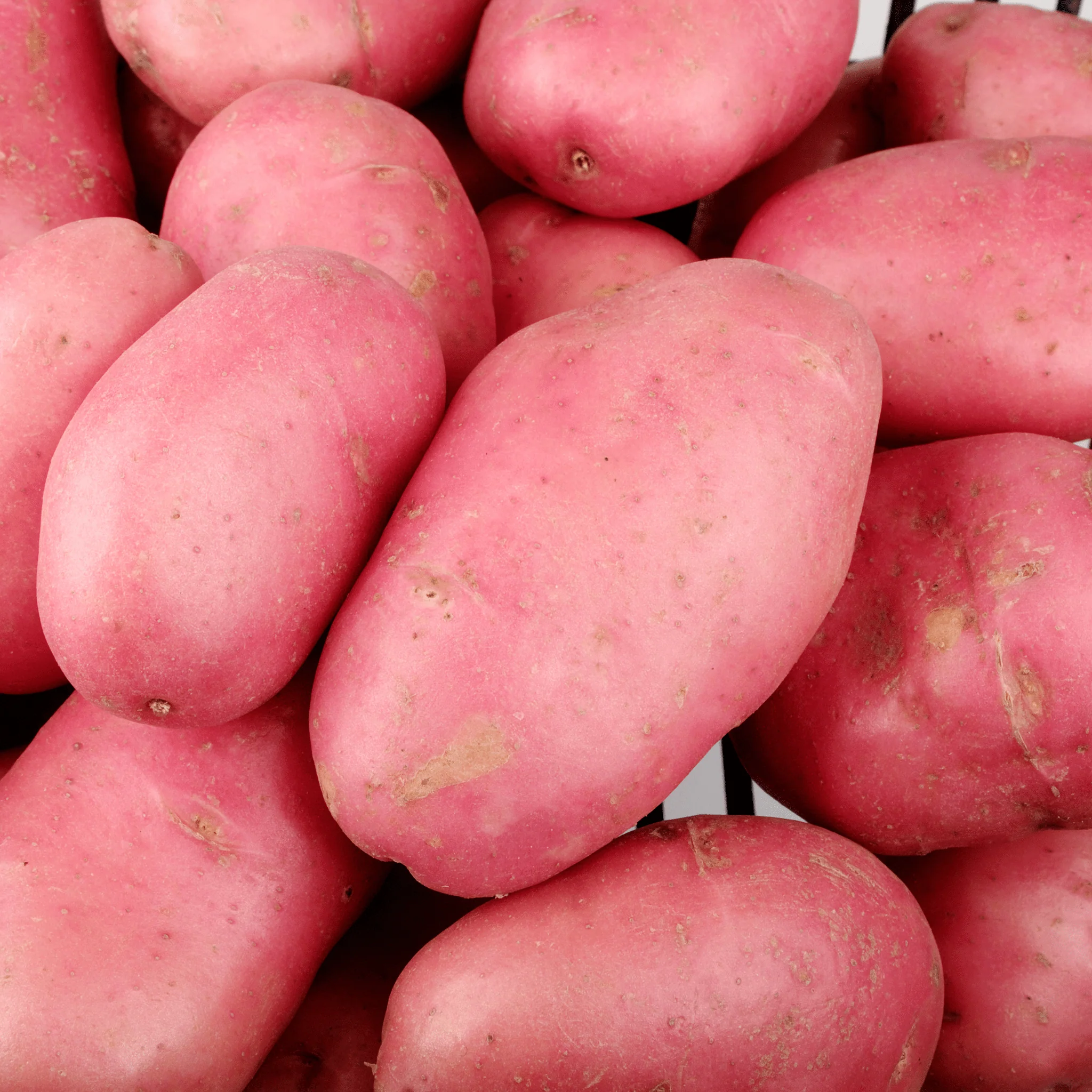 Pommes de terre Chérie - 1kg