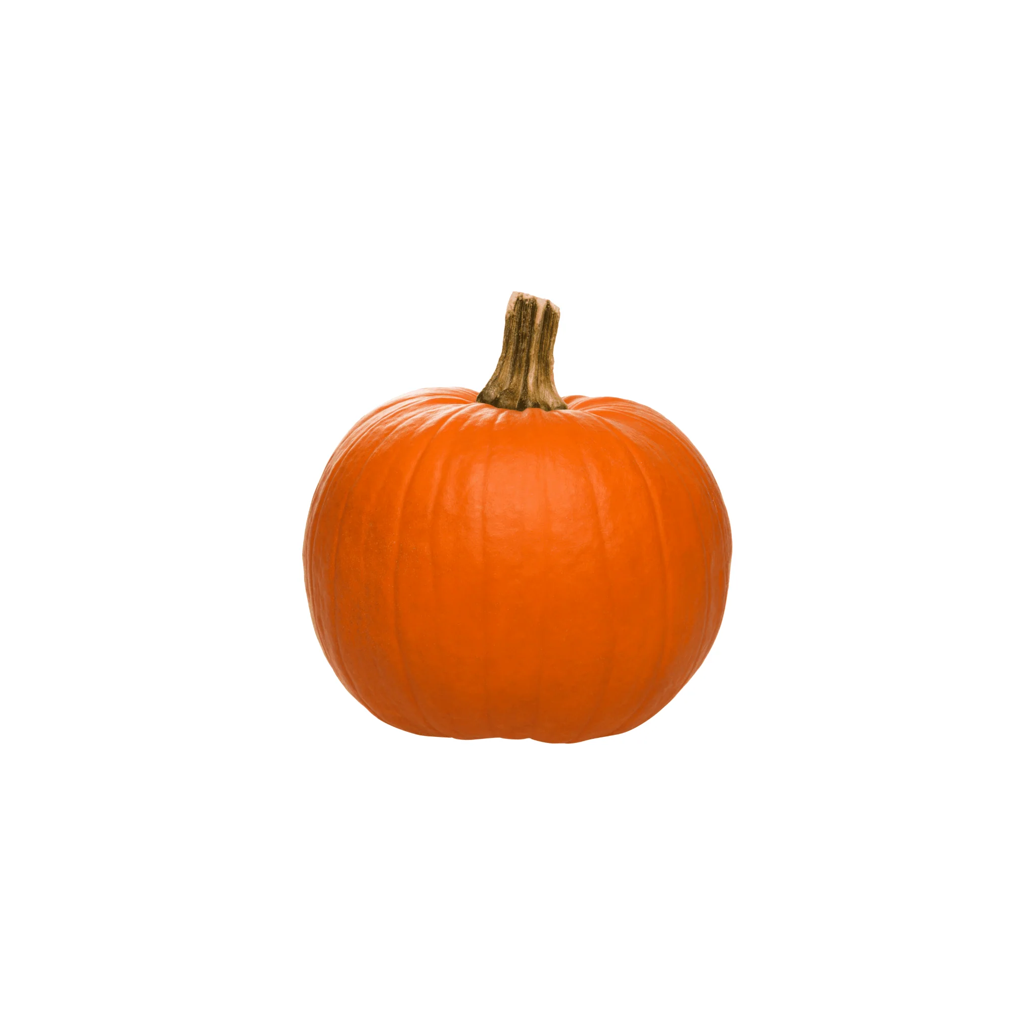 🎃 Potimarron – 1 Pièce - Image 3