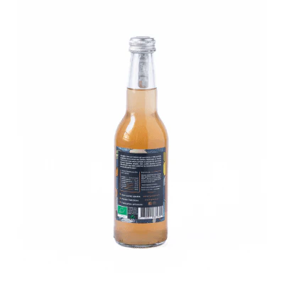 đż Potion DĂ©toxifiante Bio â 1 bouteille de 33 cl - Image 4