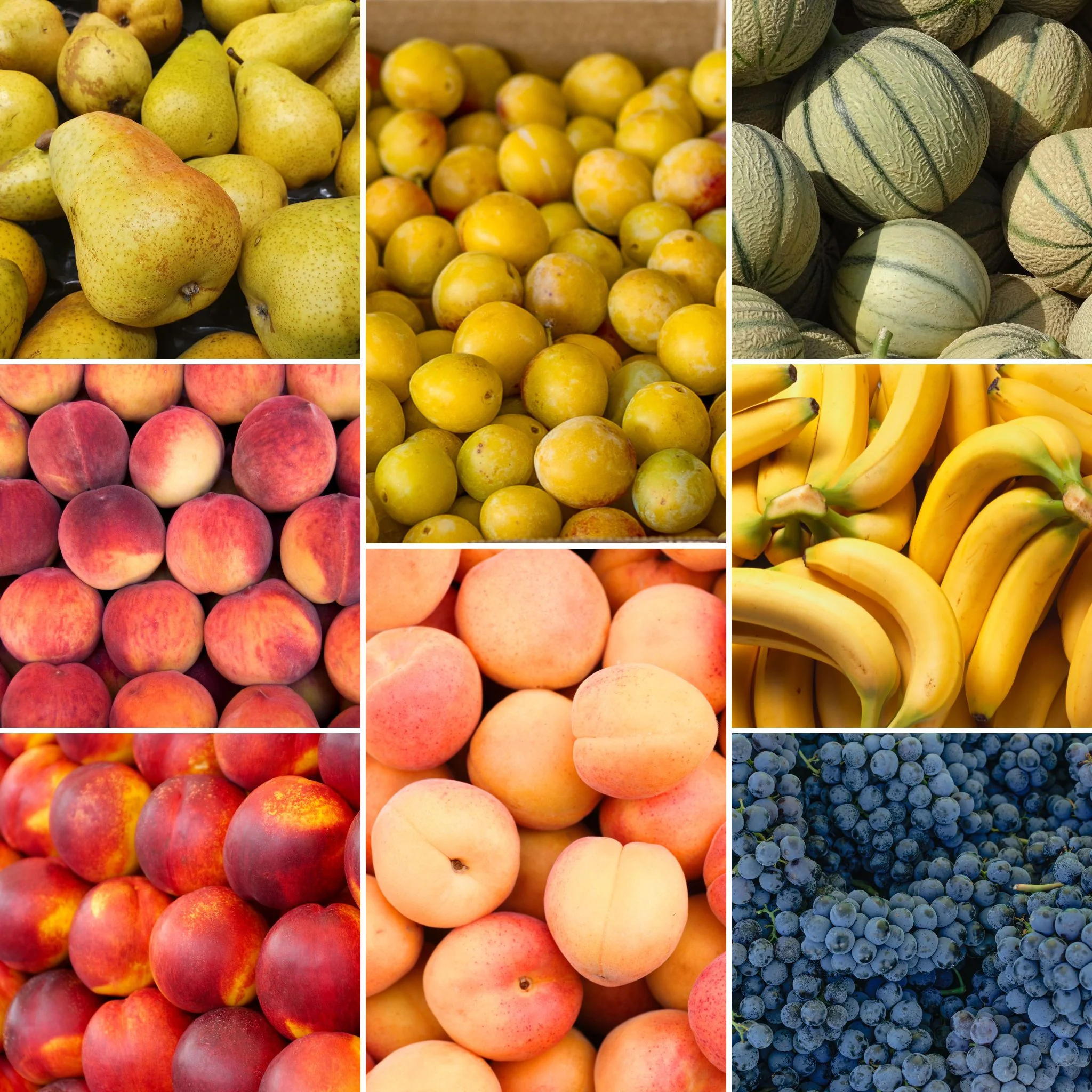đ Super Panier de Fruits