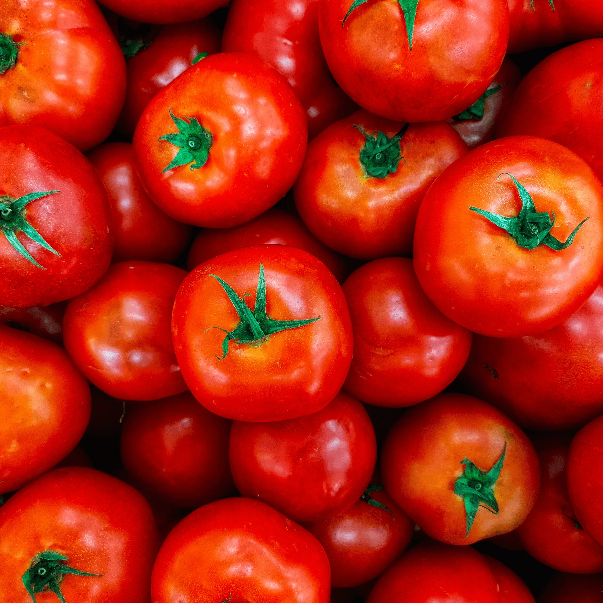 🍅 Tomates Rondes – 1kg