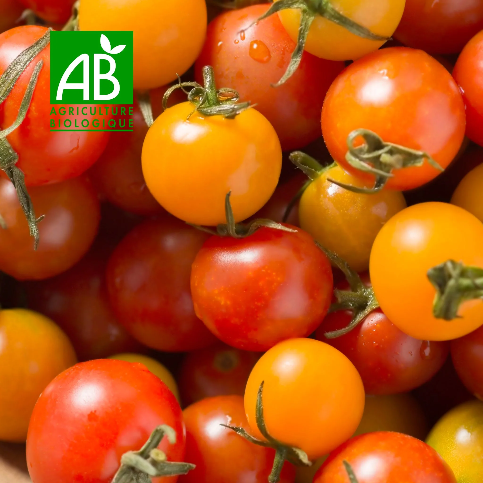 đ
Tomates cerises BIO â 500âŻg