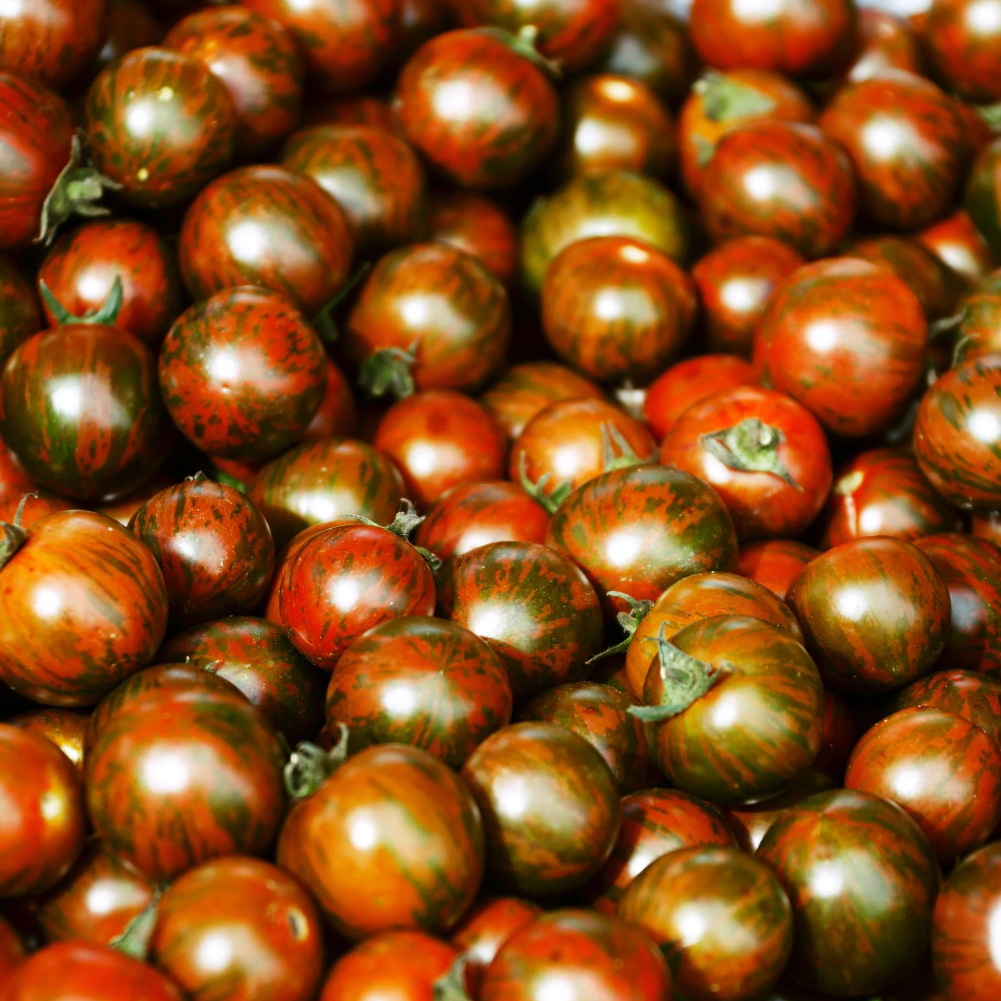 Tomates Rondes BIO - 1kg